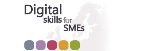 CISS collaboration case in ‘Digital Skills for SMEs’